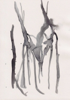 http://www.actionaqua.com/files/gimgs/th-93_neue scanns februar 5 1_v2.jpg